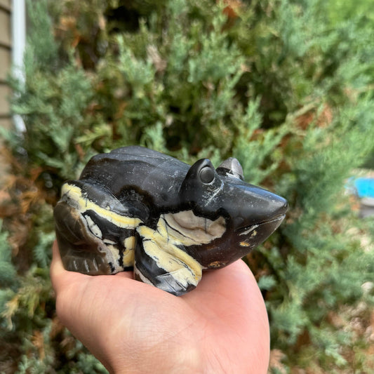 Volcano Agate Frog Carving