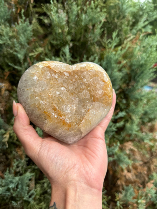 Golden Druzy Orca Agate Heart