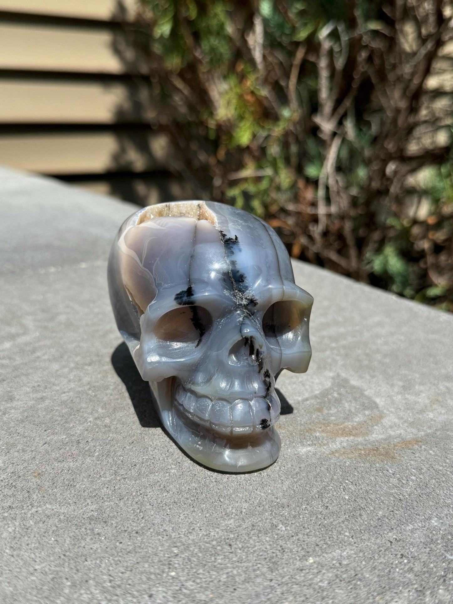 Banded Dendritic Druzy Agate Skull Carving (3.88")
