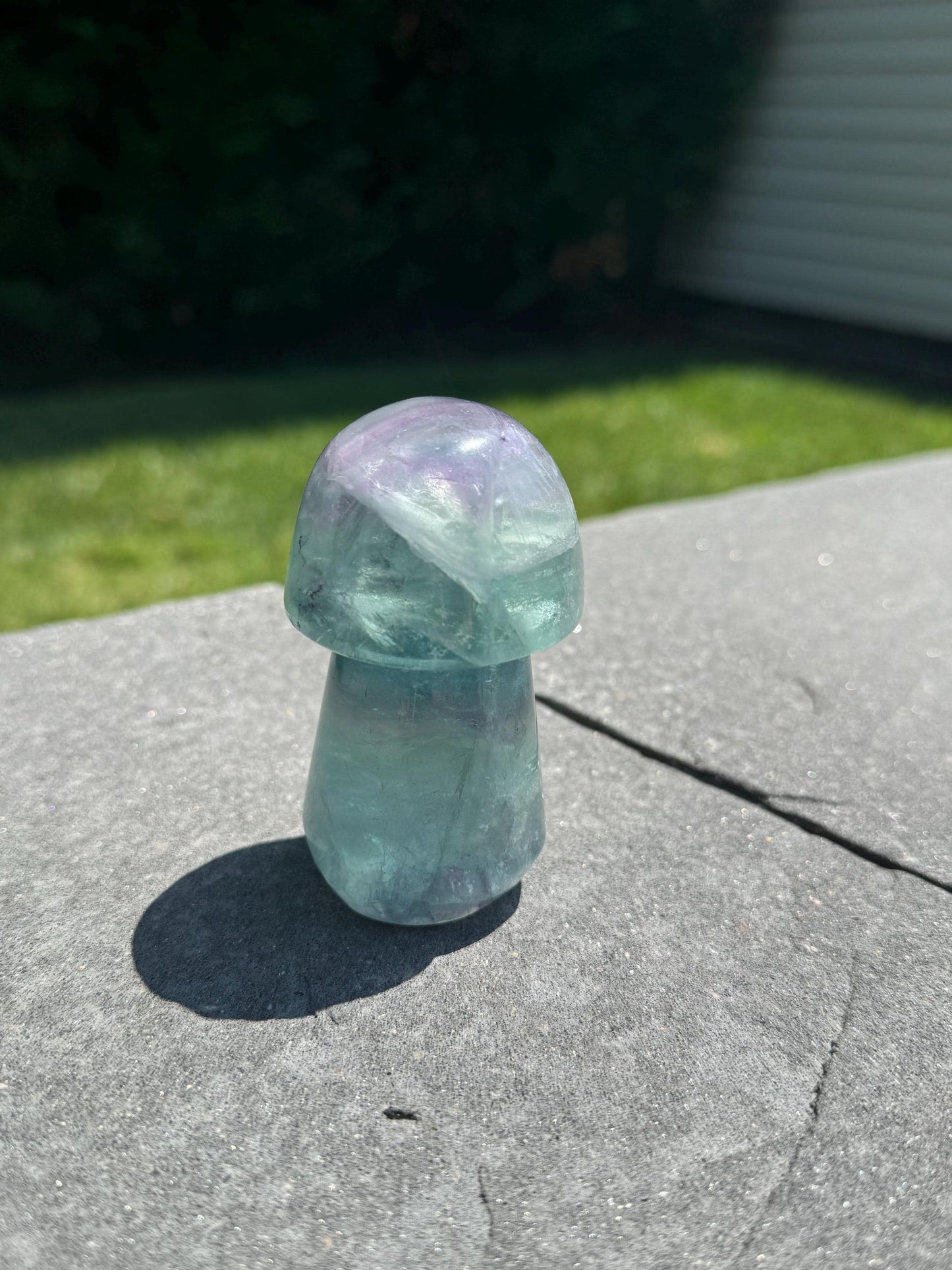 Banded Dendritic Rainbow Fluorite Mushroom Carving