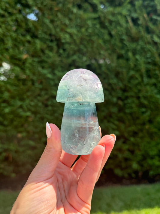 Banded Dendritic Rainbow Fluorite Mushroom Carving