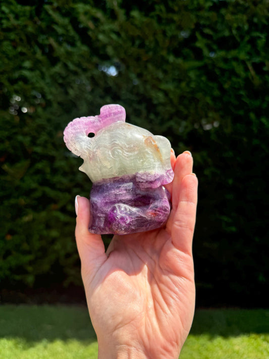 Rainbow Fluorite Sitting Elephant Carving
