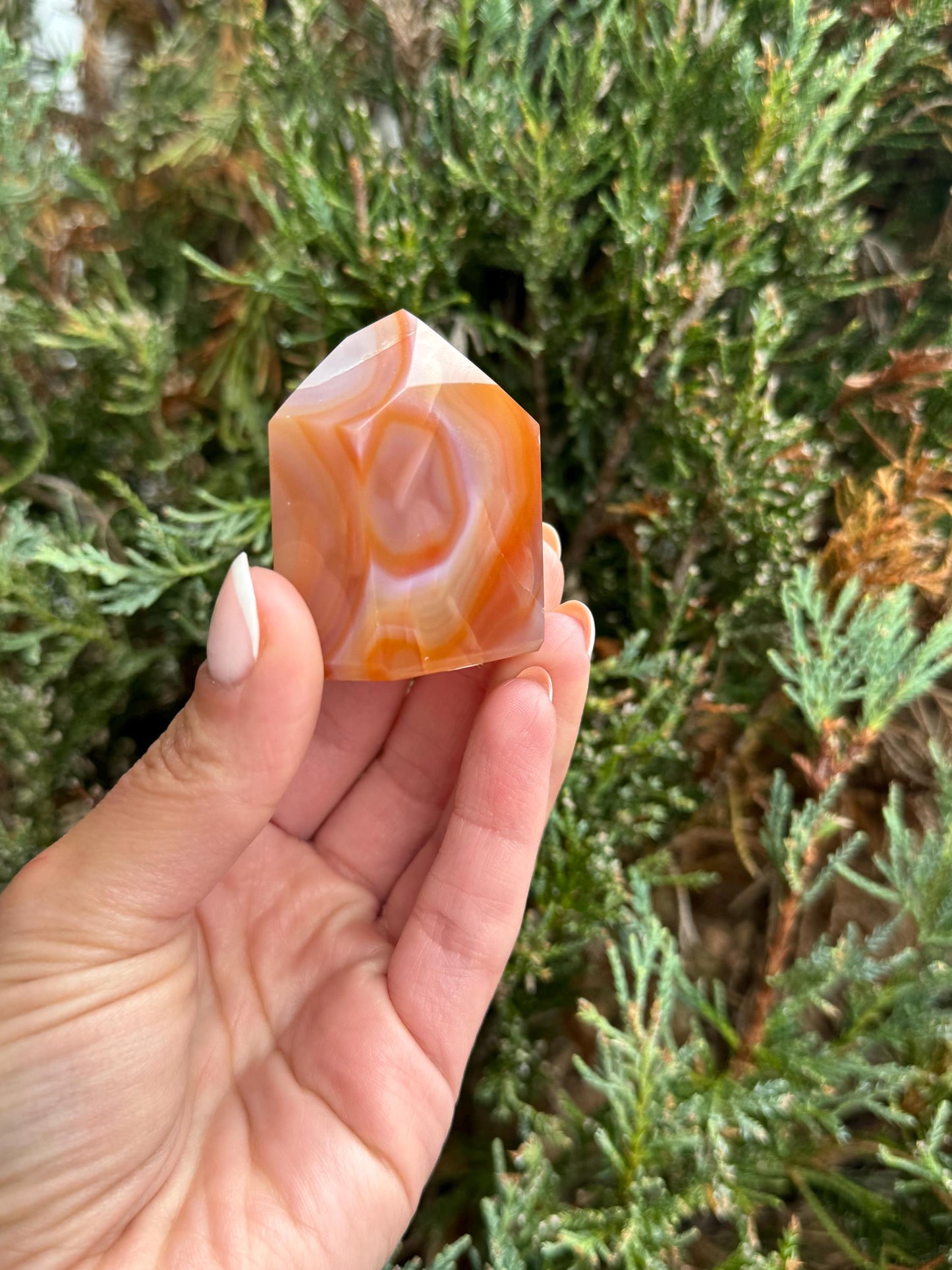 AAA Brazilian Carnelian Chunky Point