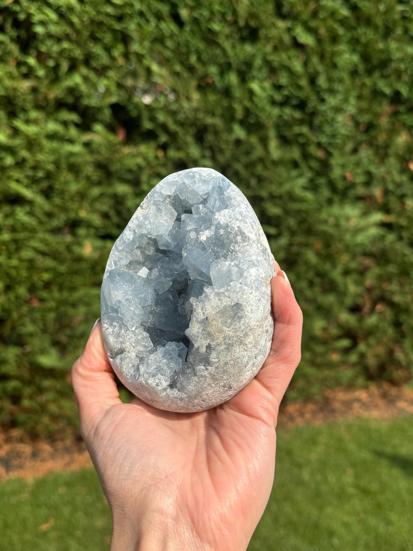 Blue Celestite Egg Carving (2.5lbs)