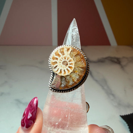 Ammonite Fossil Ring: Sterling Silver Statement Jewelry, Size 7